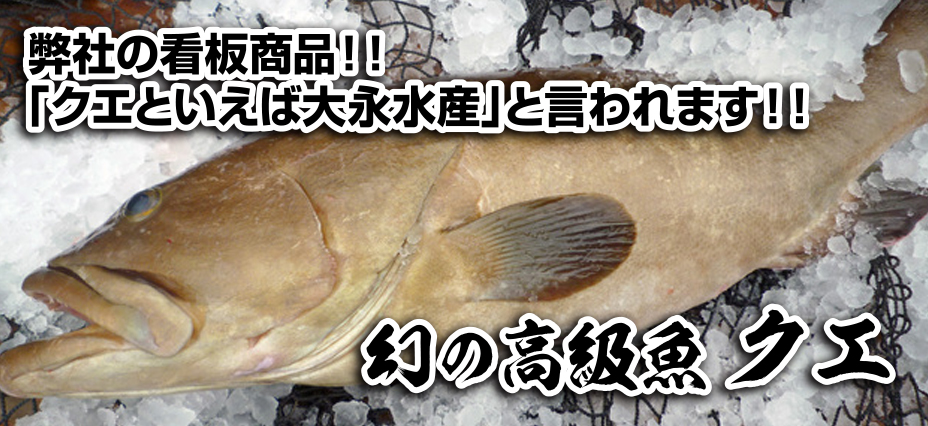 高級魚クエ